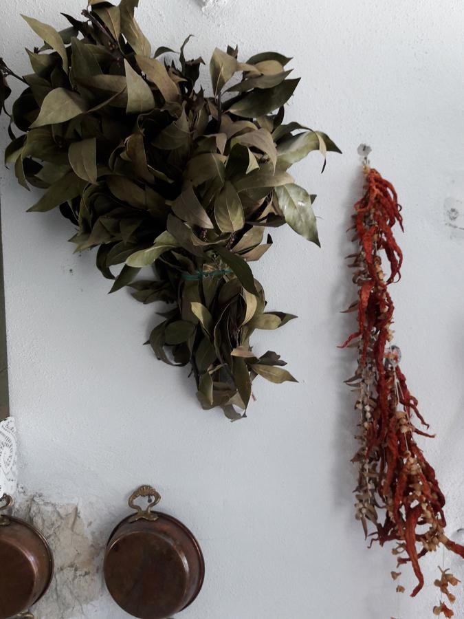 Hobbithousebademler Bed and Breakfast Urla Esterno foto